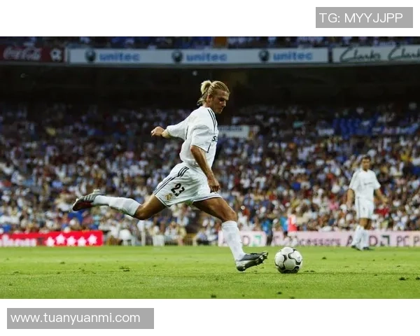 世界足球十大弧形球技大师排名 这些球星用弧线征服赛场